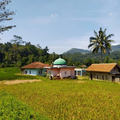 WhatsApp Image 2025-06-10 at 08.07.09_af623d24